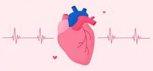 Understanding Your Heart Beat